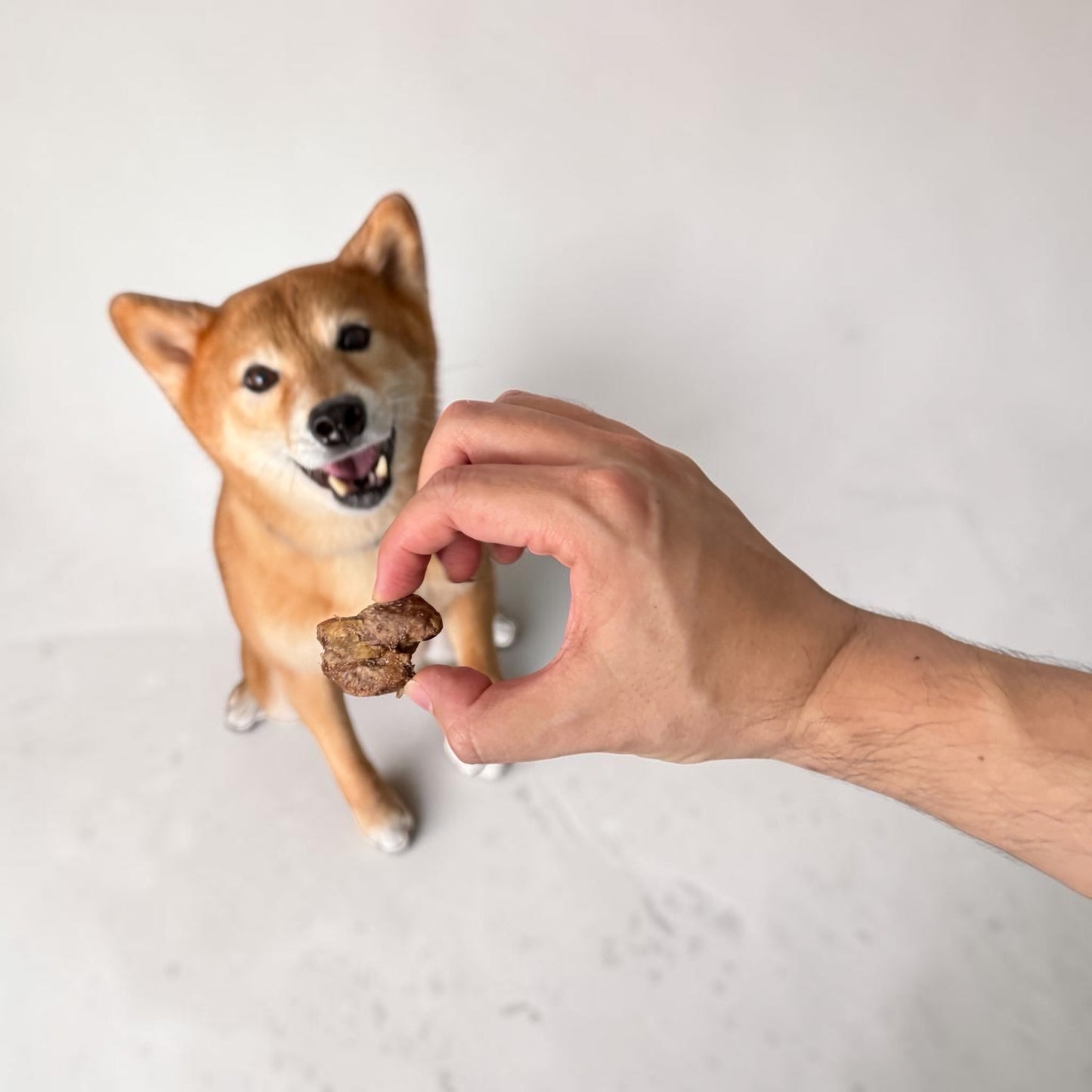 Laila and Me Freeze Dried Chicken Heart (60g)