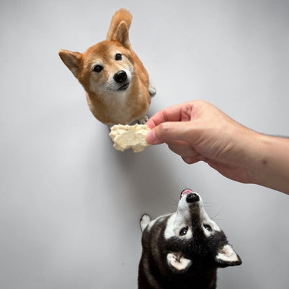 Laila and Me Freeze Dried Chicken Breast (60g)