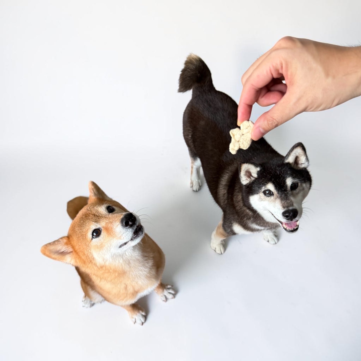 Laila and Me Freeze Dried Crocodile (60g)